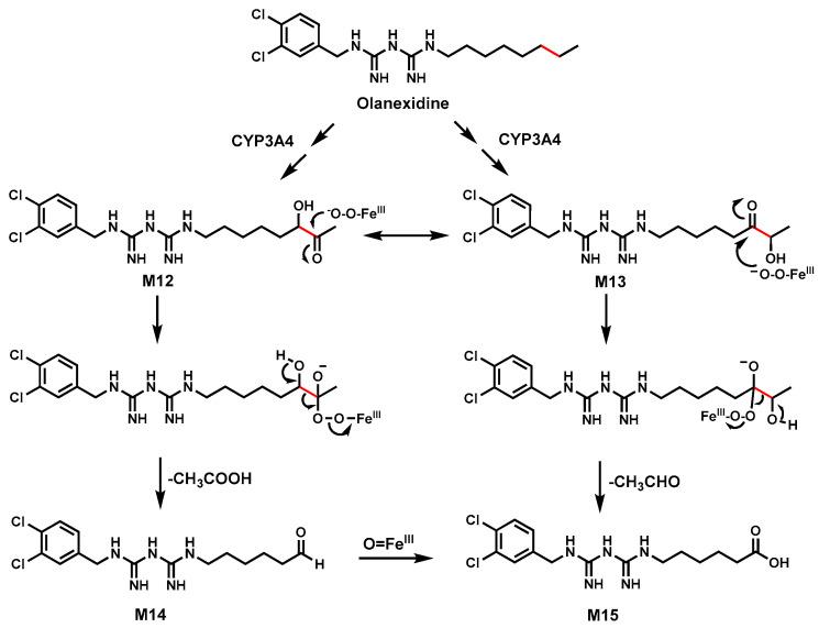 https://cdn.ncbi.nlm.nih.gov/pmc/blobs/359c/11430781/7321894c699d/biomolecules-14-01125-g006.jpg