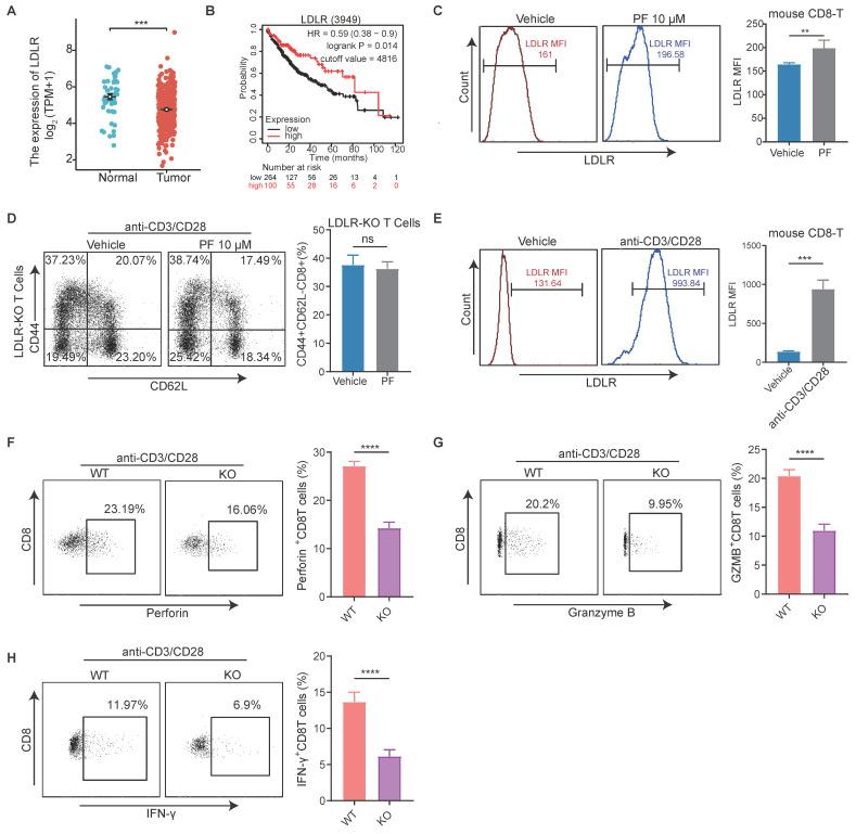 https://cdn.ncbi.nlm.nih.gov/pmc/blobs/359d/11302870/0d00911d4c2a/ijbsv20p3942g004.jpg