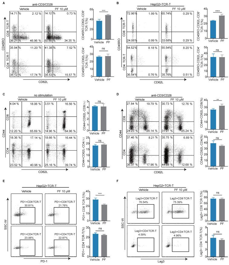 https://cdn.ncbi.nlm.nih.gov/pmc/blobs/359d/11302870/3f3cfb909127/ijbsv20p3942g002.jpg