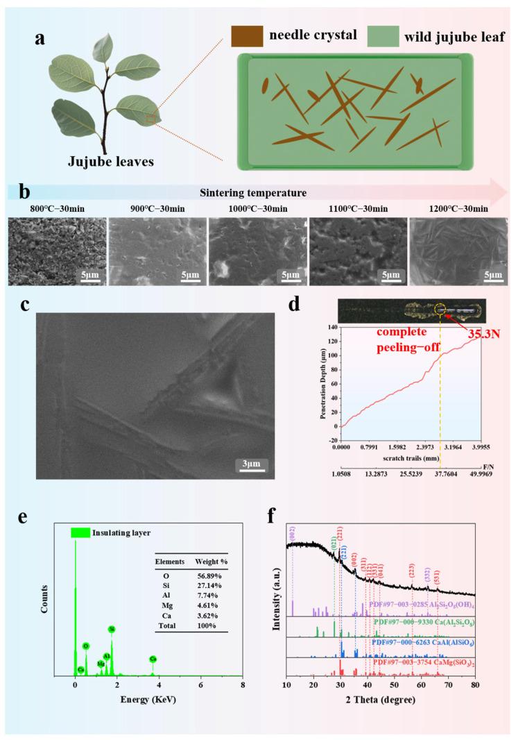 https://cdn.ncbi.nlm.nih.gov/pmc/blobs/359d/12195117/b9b189a20f6c/materials-18-02901-g003.jpg