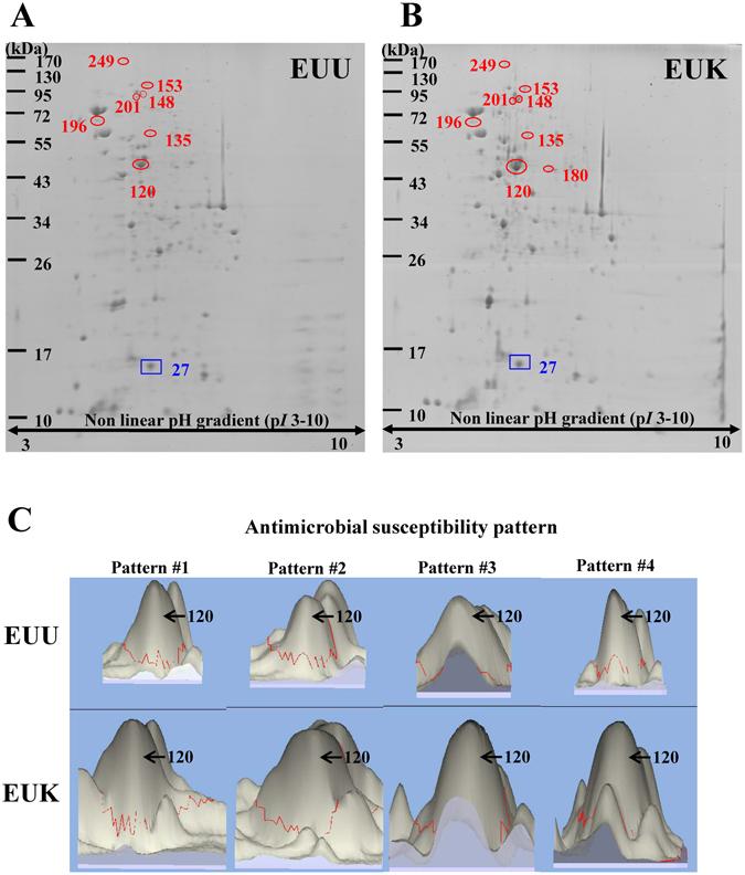 https://cdn.ncbi.nlm.nih.gov/pmc/blobs/359e/5462744/5917f5578955/41598_2017_3213_Fig1_HTML.jpg