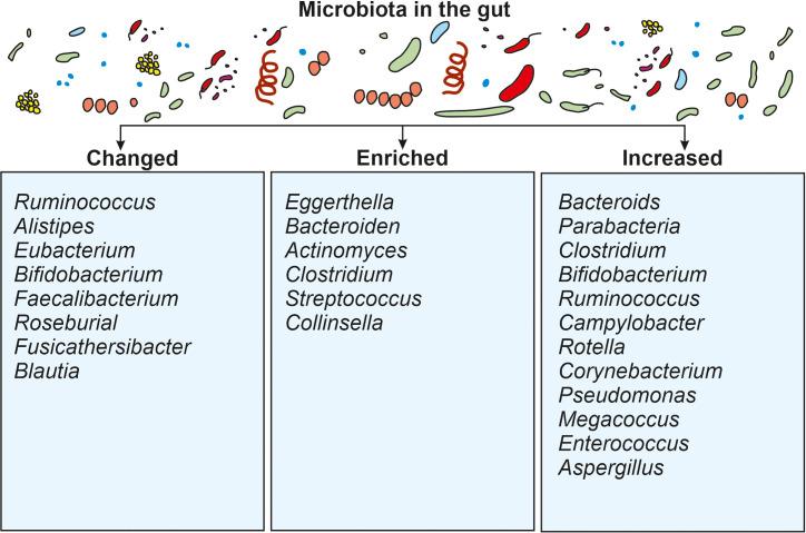 https://cdn.ncbi.nlm.nih.gov/pmc/blobs/359f/11165100/65b8e691cb95/fcimb-14-1384939-g003.jpg