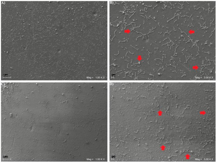 https://cdn.ncbi.nlm.nih.gov/pmc/blobs/359f/11505629/4fe2a987c84a/biomedicines-12-02235-g001.jpg