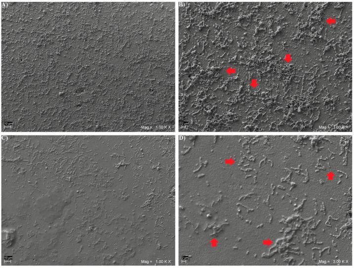 https://cdn.ncbi.nlm.nih.gov/pmc/blobs/359f/11505629/f3ae8031cfbb/biomedicines-12-02235-g002.jpg