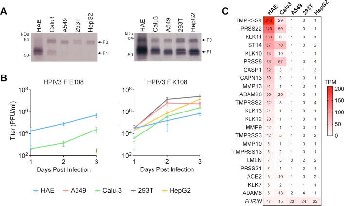https://cdn.ncbi.nlm.nih.gov/pmc/blobs/35a1/11559058/92f247566f3e/mbio.02327-24.f002.jpg