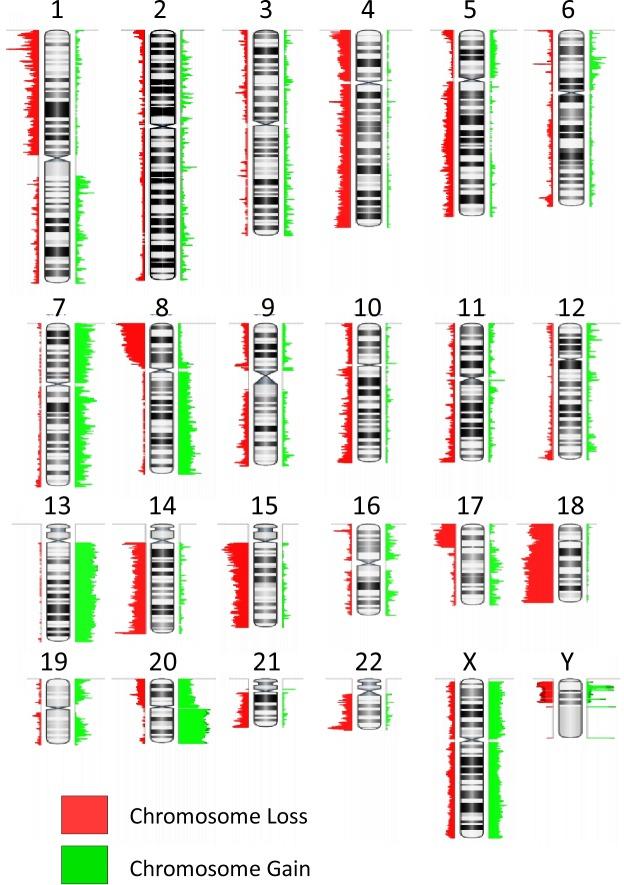 https://cdn.ncbi.nlm.nih.gov/pmc/blobs/35a1/5322957/c43d790600a4/pone.0171690.g001.jpg
