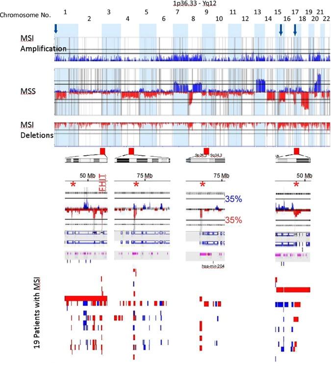 https://cdn.ncbi.nlm.nih.gov/pmc/blobs/35a1/5322957/ff69ef171836/pone.0171690.g006.jpg