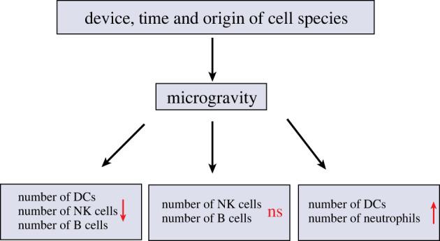 https://cdn.ncbi.nlm.nih.gov/pmc/blobs/35a1/9929508/b9359631c6f4/rsif20220869f02.jpg