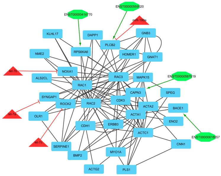 https://cdn.ncbi.nlm.nih.gov/pmc/blobs/35a2/9332185/c8a3b57c4638/genes-13-01295-g004.jpg