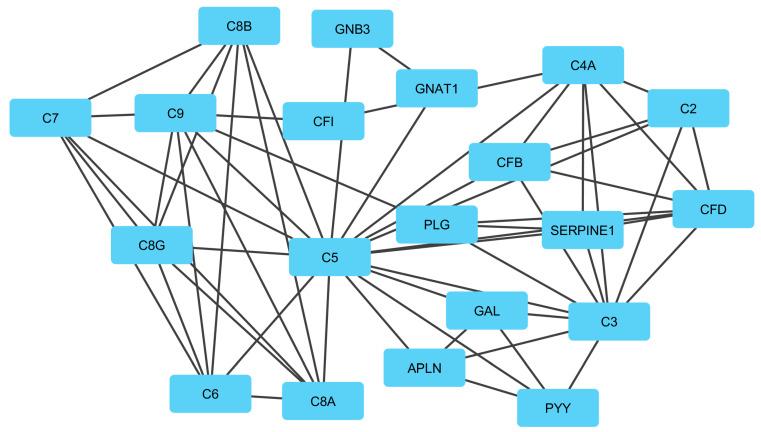 https://cdn.ncbi.nlm.nih.gov/pmc/blobs/35a2/9332185/e290c6a6114d/genes-13-01295-g005.jpg