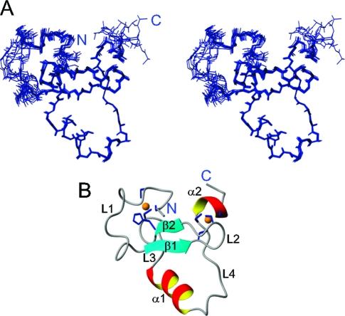 https://cdn.ncbi.nlm.nih.gov/pmc/blobs/35a8/2916634/882c6aef261e/bi-2010-009387_0008.jpg