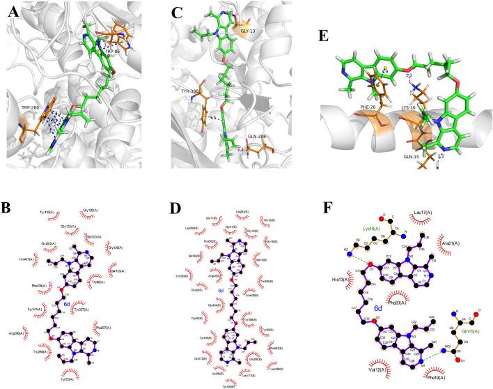 https://cdn.ncbi.nlm.nih.gov/pmc/blobs/35aa/11813896/dce9132138db/fchem-13-1545908-g004.jpg