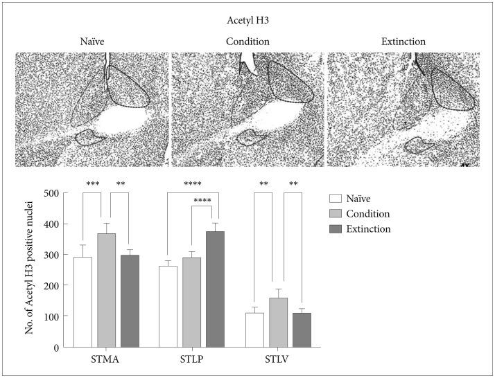 https://cdn.ncbi.nlm.nih.gov/pmc/blobs/35ac/5440438/1955466b7859/pi-14-350-g003.jpg