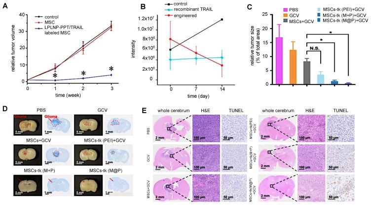 https://cdn.ncbi.nlm.nih.gov/pmc/blobs/35ae/10758060/c0f6712d7e4b/thnov14p0571g010.jpg
