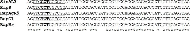 https://cdn.ncbi.nlm.nih.gov/pmc/blobs/35b0/4761845/3d8cc013d7b5/fpls-07-00169-g006.jpg