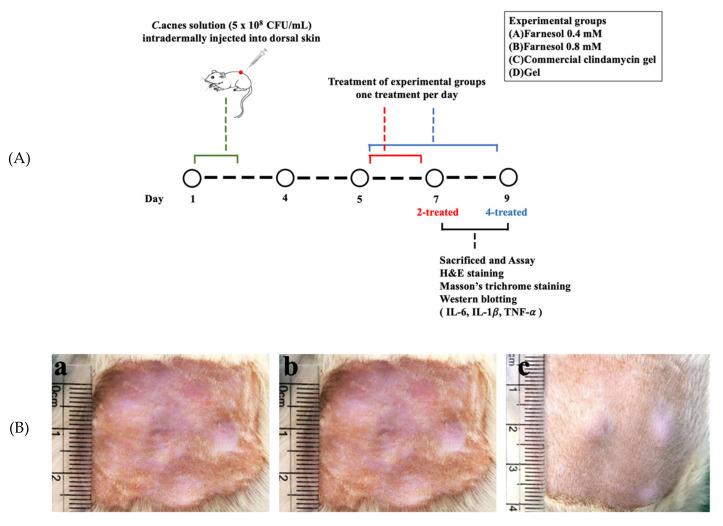 https://cdn.ncbi.nlm.nih.gov/pmc/blobs/35b1/8465053/5ab298616458/molecules-26-05723-g001.jpg