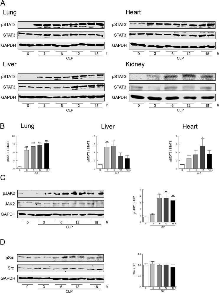 https://cdn.ncbi.nlm.nih.gov/pmc/blobs/35b3/7498613/0467d869e261/41598_2020_72136_Fig1_HTML.jpg