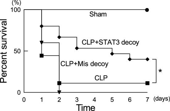 https://cdn.ncbi.nlm.nih.gov/pmc/blobs/35b3/7498613/db4e554581aa/41598_2020_72136_Fig7_HTML.jpg