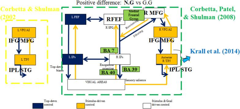 https://cdn.ncbi.nlm.nih.gov/pmc/blobs/35b3/7982371/b6889e0f9d42/40708_2021_124_Fig5_HTML.jpg
