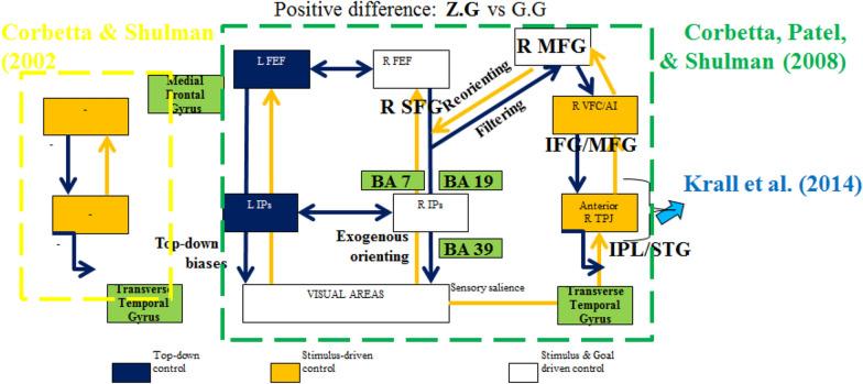 https://cdn.ncbi.nlm.nih.gov/pmc/blobs/35b3/7982371/ba0de0f9664d/40708_2021_124_Fig4_HTML.jpg
