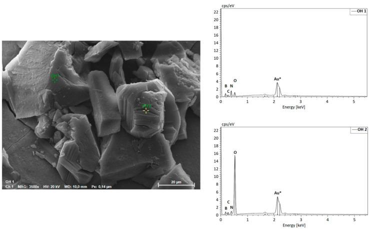 https://cdn.ncbi.nlm.nih.gov/pmc/blobs/35b4/10780802/02c28621cb46/nanomaterials-14-00030-g008.jpg