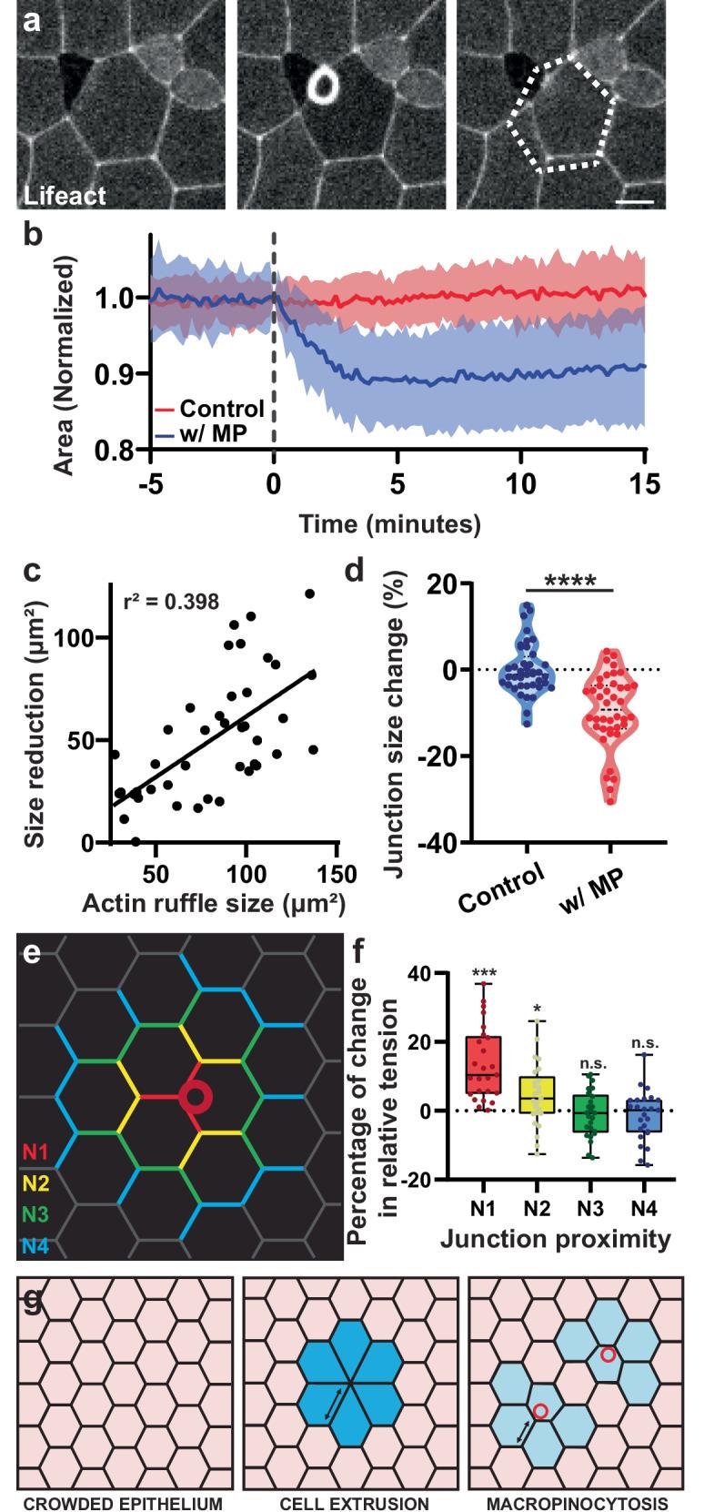https://cdn.ncbi.nlm.nih.gov/pmc/blobs/35b4/12185762/4095fb10f81b/41467_2025_60724_Fig3_HTML.jpg