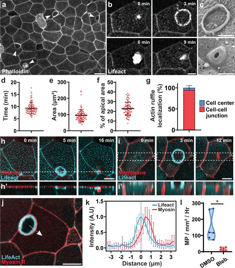 https://cdn.ncbi.nlm.nih.gov/pmc/blobs/35b4/12185762/8c54bc21c4e7/41467_2025_60724_Fig1_HTML.jpg