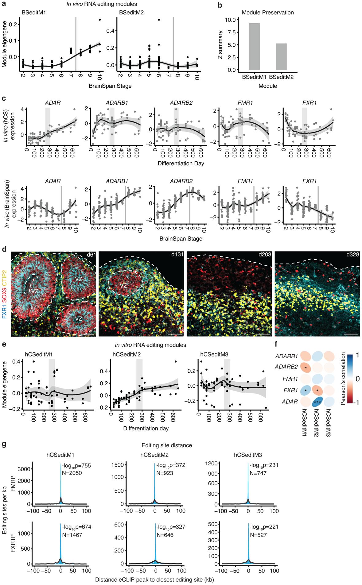 https://cdn.ncbi.nlm.nih.gov/pmc/blobs/35b6/8109149/768982ee17a5/nihms-1662702-f0003.jpg