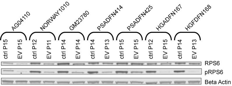 https://cdn.ncbi.nlm.nih.gov/pmc/blobs/35b7/5910873/a11661f595ab/pnas.1802811115fig02.jpg