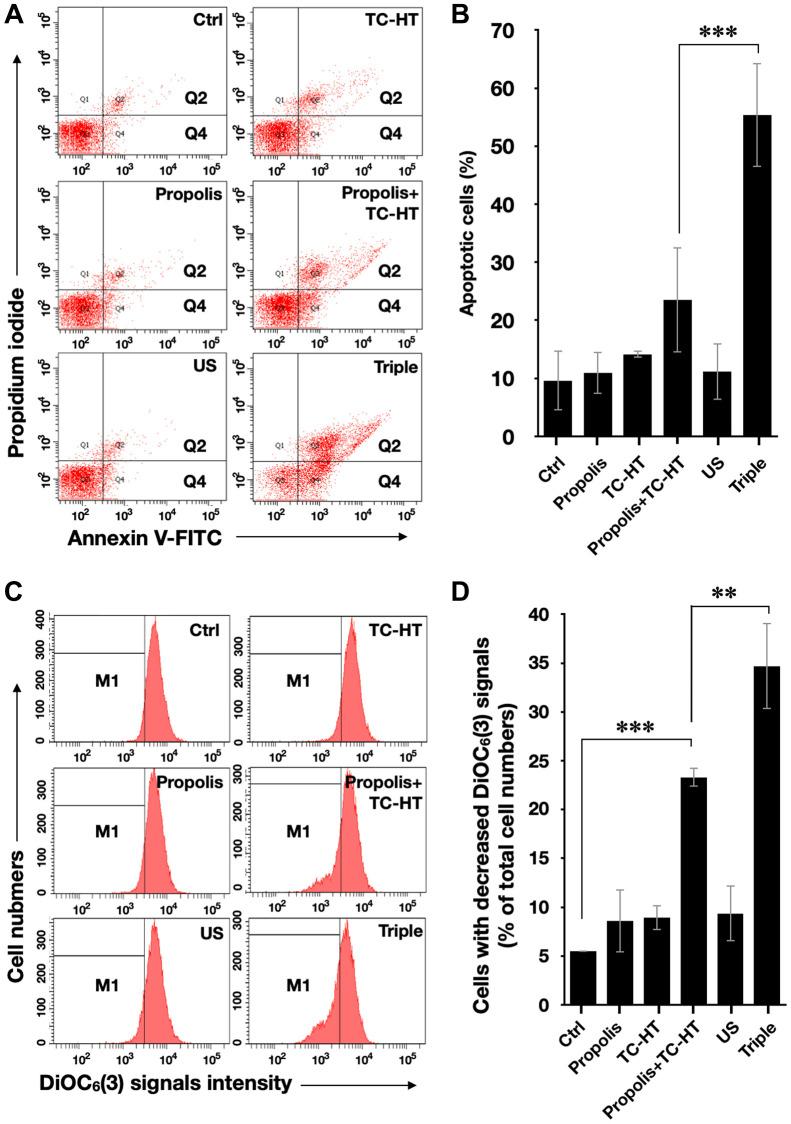 https://cdn.ncbi.nlm.nih.gov/pmc/blobs/35b8/10457055/6337a2ca03bb/aging-15-204916-g003.jpg