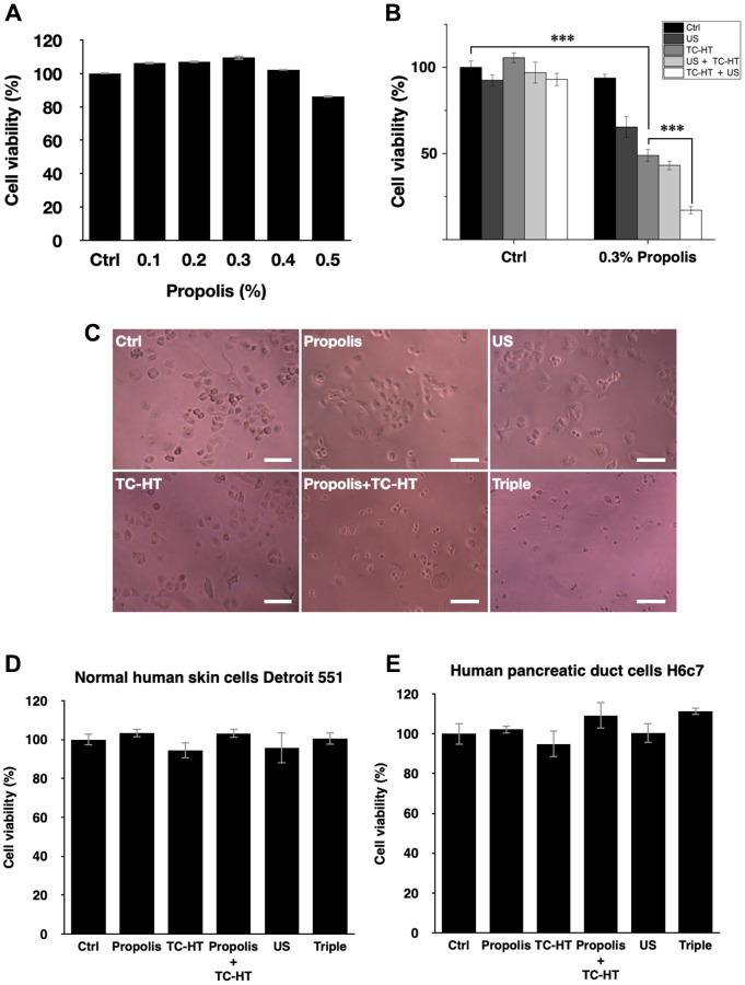 https://cdn.ncbi.nlm.nih.gov/pmc/blobs/35b8/10457055/b1f9a2363c5f/aging-15-204916-g001.jpg