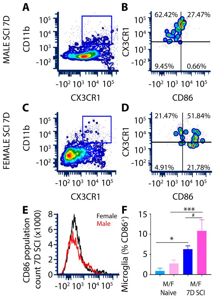 https://cdn.ncbi.nlm.nih.gov/pmc/blobs/35b9/11011714/416139dd2d55/cells-13-00645-g004.jpg