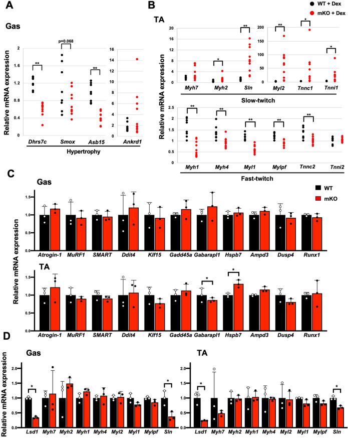 https://cdn.ncbi.nlm.nih.gov/pmc/blobs/35ba/9876571/1e9c3db78908/elife-84618-fig2-figsupp1.jpg