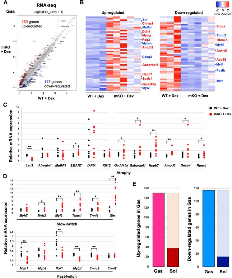 https://cdn.ncbi.nlm.nih.gov/pmc/blobs/35ba/9876571/26a047cee714/elife-84618-fig2.jpg
