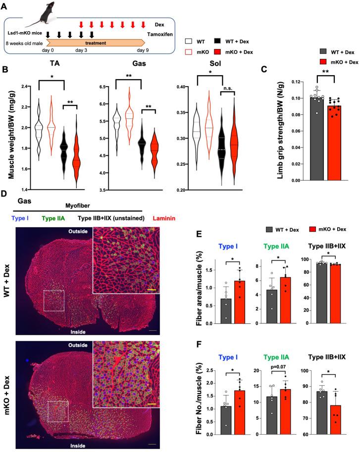 https://cdn.ncbi.nlm.nih.gov/pmc/blobs/35ba/9876571/335bbf6e6cc8/elife-84618-fig1.jpg
