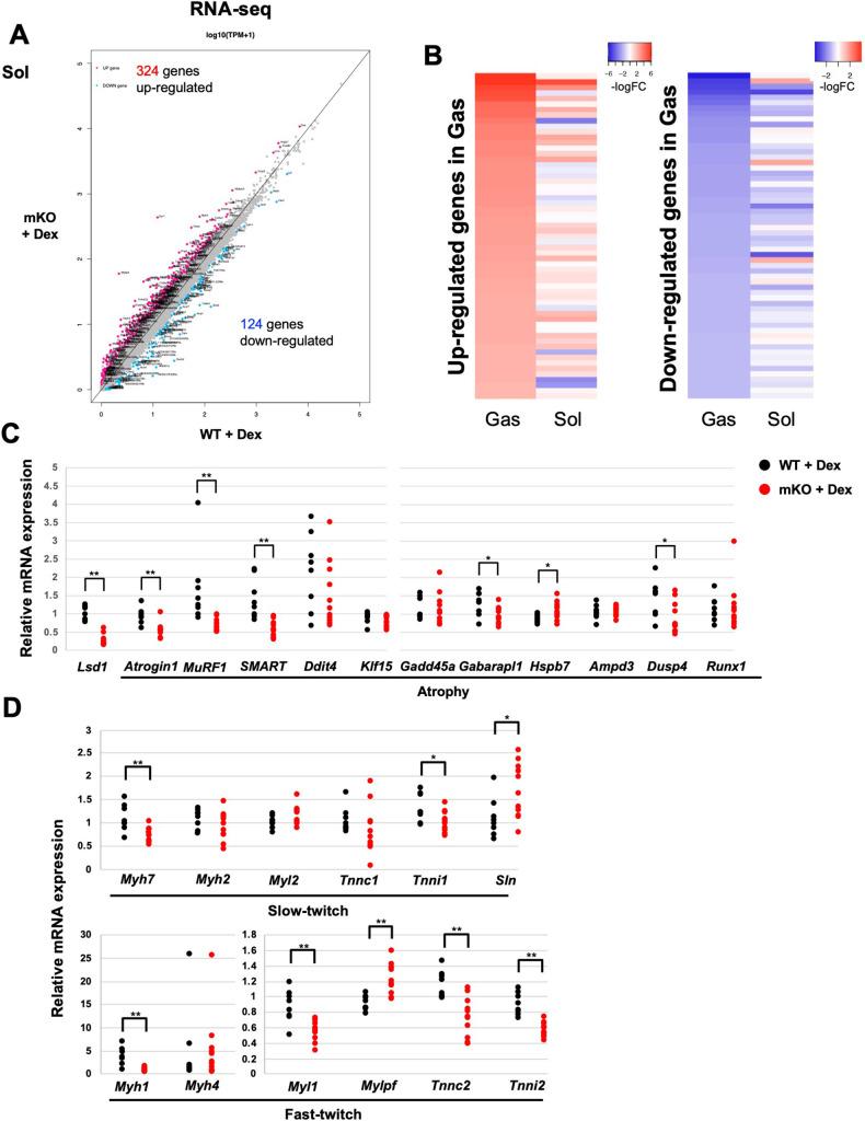 https://cdn.ncbi.nlm.nih.gov/pmc/blobs/35ba/9876571/35e386aa9470/elife-84618-fig2-figsupp2.jpg
