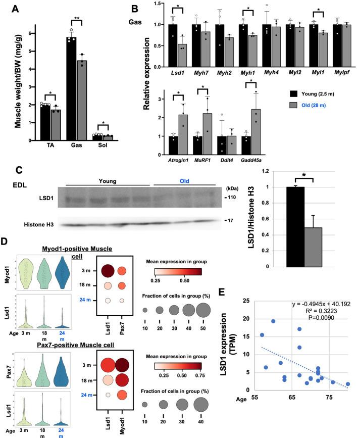 https://cdn.ncbi.nlm.nih.gov/pmc/blobs/35ba/9876571/58df00816f26/elife-84618-fig6.jpg