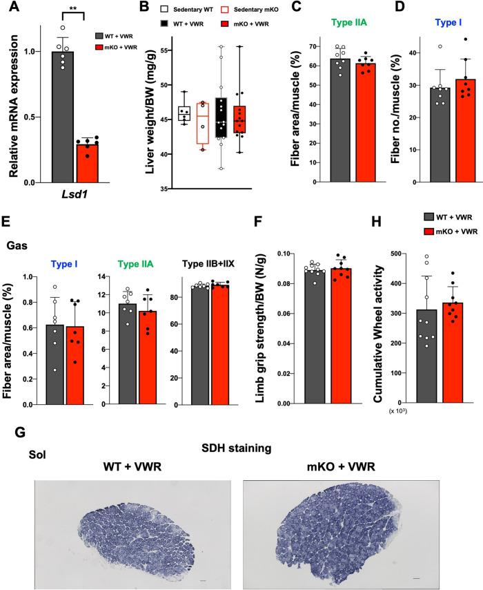 https://cdn.ncbi.nlm.nih.gov/pmc/blobs/35ba/9876571/64dcd87849b0/elife-84618-fig4-figsupp1.jpg