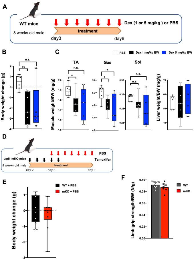 https://cdn.ncbi.nlm.nih.gov/pmc/blobs/35ba/9876571/9d4c506d32c5/elife-84618-fig1-figsupp3.jpg