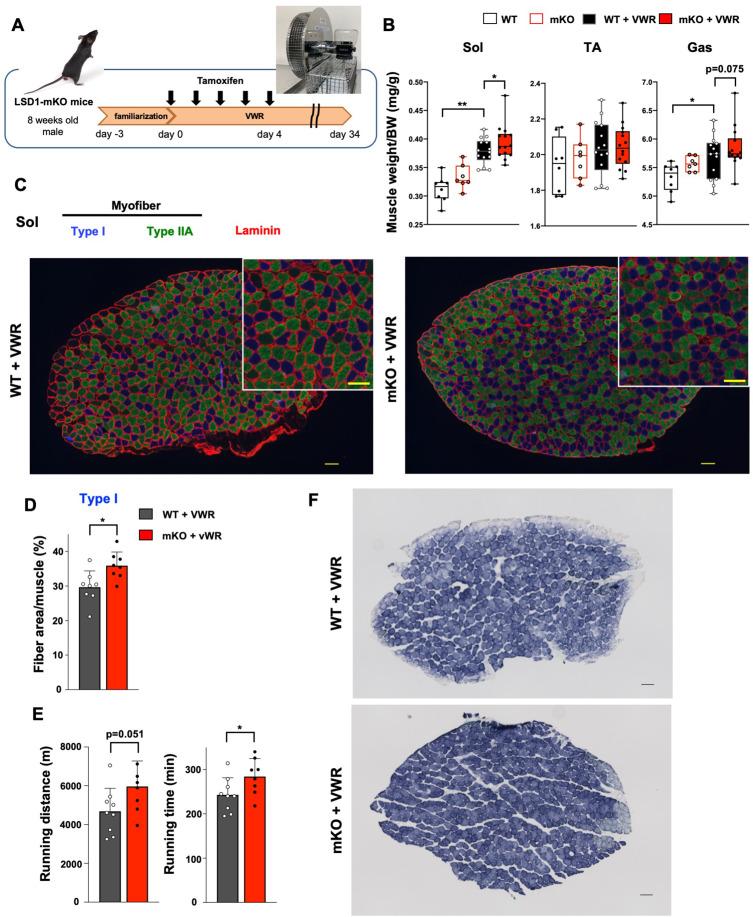 https://cdn.ncbi.nlm.nih.gov/pmc/blobs/35ba/9876571/a900f3236c2b/elife-84618-fig4.jpg