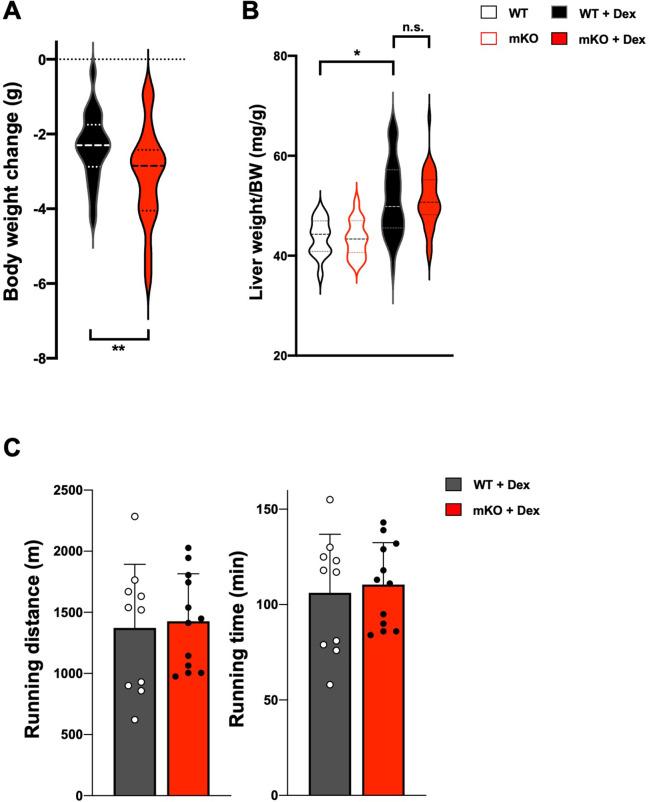 https://cdn.ncbi.nlm.nih.gov/pmc/blobs/35ba/9876571/a92443b11824/elife-84618-fig1-figsupp4.jpg