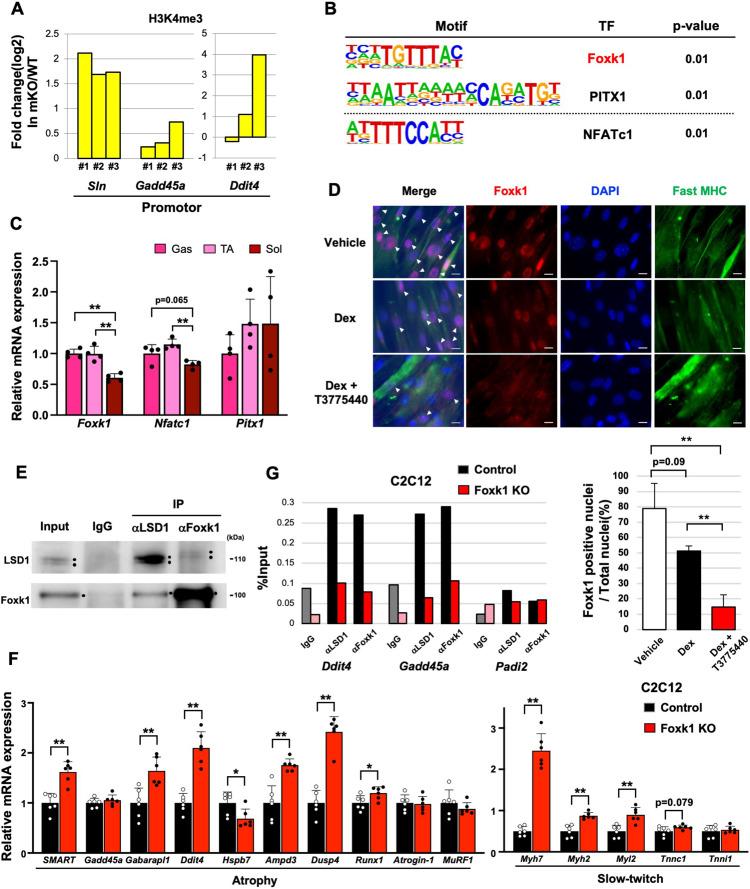 https://cdn.ncbi.nlm.nih.gov/pmc/blobs/35ba/9876571/bf37fb51542f/elife-84618-fig3.jpg