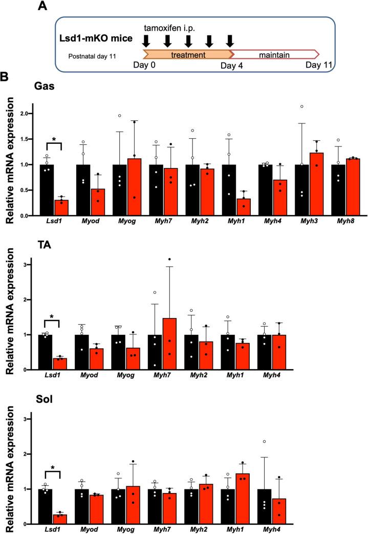 https://cdn.ncbi.nlm.nih.gov/pmc/blobs/35ba/9876571/d1ae4e491473/elife-84618-fig1-figsupp2.jpg
