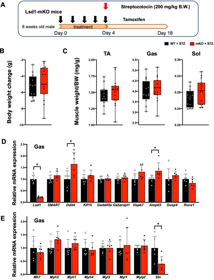 https://cdn.ncbi.nlm.nih.gov/pmc/blobs/35ba/9876571/e155efb4ab1f/elife-84618-fig2-figsupp3.jpg