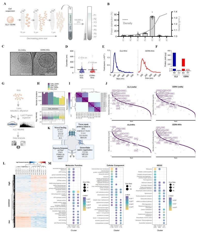 https://cdn.ncbi.nlm.nih.gov/pmc/blobs/35bb/9696585/7263df8a75c5/ijms-23-14334-g002.jpg