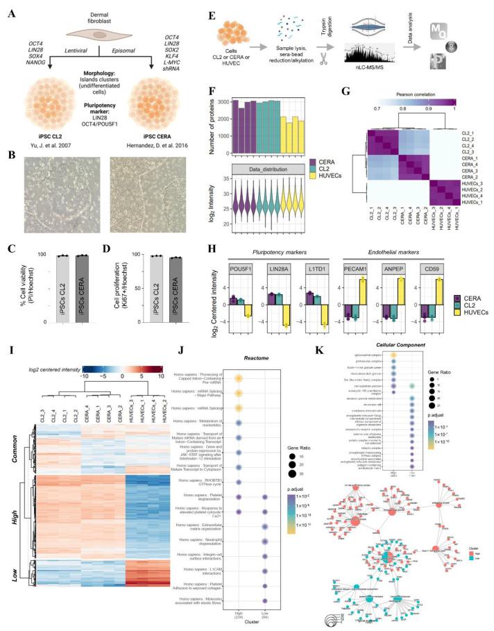 https://cdn.ncbi.nlm.nih.gov/pmc/blobs/35bb/9696585/8416a5ff5cd3/ijms-23-14334-g001.jpg