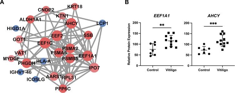 https://cdn.ncbi.nlm.nih.gov/pmc/blobs/35bc/10253017/e87ded3e6678/CCID-16-1407-g0003.jpg