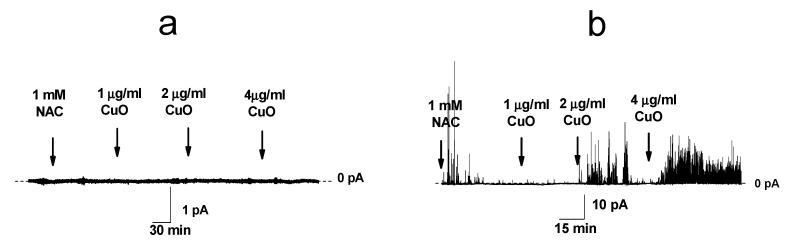 https://cdn.ncbi.nlm.nih.gov/pmc/blobs/35bc/8539714/39749f040e46/ijms-22-11065-g004.jpg