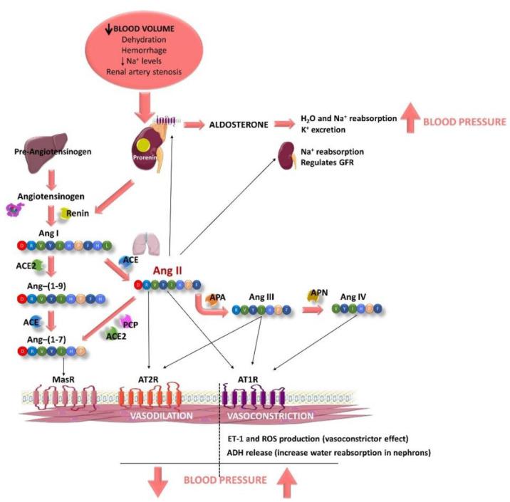 https://cdn.ncbi.nlm.nih.gov/pmc/blobs/35bc/9103085/f93d2841f346/nutrients-14-01920-g001.jpg