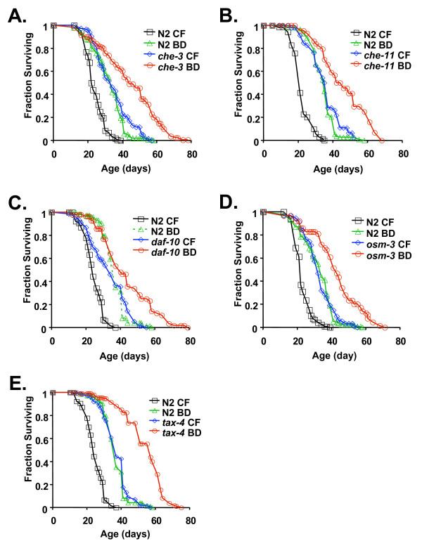 https://cdn.ncbi.nlm.nih.gov/pmc/blobs/35be/2408926/453626fc95d5/1471-213X-8-49-4.jpg